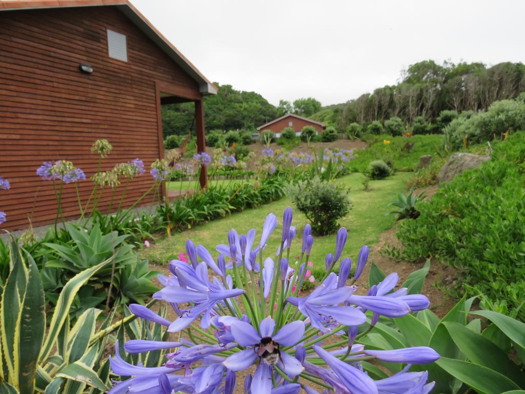 Sitio Da Assumada Βίλα Lajes das Flores Εξωτερικό φωτογραφία